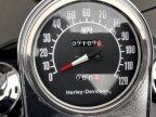 Thumbnail Photo 3 for 1981 Harley-Davidson Wide Glide