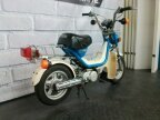 Thumbnail Photo 2 for 1981 Yamaha Champ
