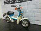 Thumbnail Photo 1 for 1981 Yamaha Champ