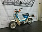 Thumbnail Photo 4 for 1981 Yamaha Champ