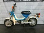 Thumbnail Photo 3 for 1981 Yamaha Champ