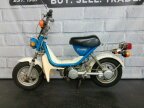 Thumbnail Photo 3 for 1981 Yamaha Champ