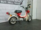 Thumbnail Photo 2 for 1981 Yamaha Champ