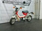 Thumbnail Photo 3 for 1981 Yamaha Champ