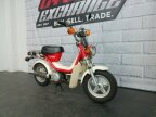 Thumbnail Photo 1 for 1981 Yamaha Champ