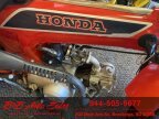 Thumbnail Photo 2 for 1983 Honda Mini Trail 70