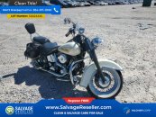 New 1988 Harley-Davidson Softail