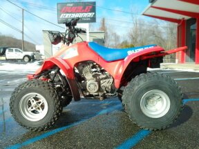 1990 Suzuki QuadRunner 230