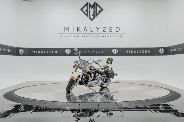 1993 Harley-Davidson Softail