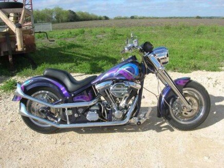 Photo 1 for 1993 Harley-Davidson Softail Custom