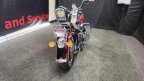 Thumbnail Photo 1 for 1993 Harley-Davidson Softail