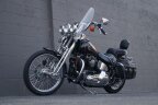 Thumbnail Photo 2 for 1994 Harley-Davidson Softail