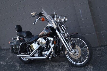 Photo 1 for 1994 Harley-Davidson Softail