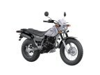 Thumbnail Photo 1 for New 1994 Yamaha TW200