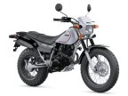 Thumbnail Photo 2 for New 1994 Yamaha TW200
