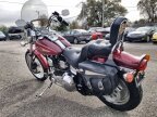 Thumbnail Photo 1 for 1995 Harley-Davidson Softail