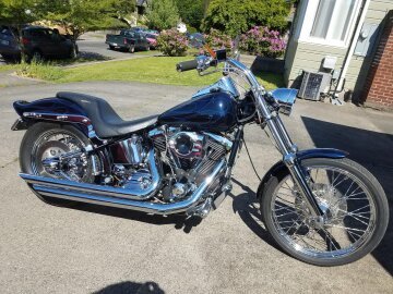 1995 Harley-Davidson Softail Custom