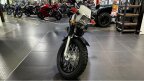 Thumbnail Photo 2 for New 1995 Yamaha TW200
