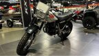 Thumbnail Photo 3 for New 1995 Yamaha TW200
