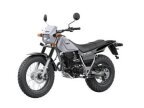 Thumbnail Photo 6 for New 1995 Yamaha TW200