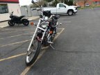 Thumbnail Photo 6 for 1996 Suzuki Intruder 800