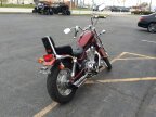 Thumbnail Photo 1 for 1996 Suzuki Intruder 800