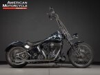 Thumbnail Photo 1 for 1998 Harley-Davidson Softail