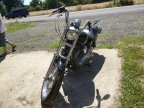 Thumbnail Photo 5 for 1999 Harley-Davidson Dyna Super Glide