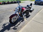 Thumbnail Photo 2 for 1999 Honda Shadow