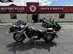 Thumbnail Photo 4 for 1999 Honda Shadow