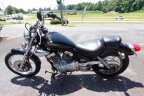 Thumbnail Photo 5 for 1999 Yamaha Virago 250