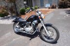 Thumbnail Photo 2 for 1999 Yamaha Virago 250