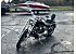 2000 Harley-Davidson Softail