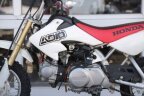 Thumbnail Photo 6 for 2000 Honda XR50R