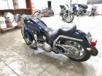 Thumbnail Photo 6 for 2001 Harley-Davidson Softail