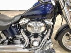 Thumbnail Photo 1 for 2001 Harley-Davidson Softail