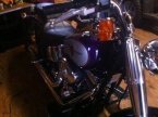 Thumbnail Photo 2 for 2001 Harley-Davidson Softail