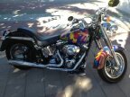 Thumbnail Photo 4 for 2001 Harley-Davidson Softail