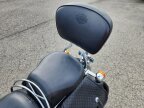 Thumbnail Photo 6 for 2001 Harley-Davidson Softail