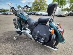 Thumbnail Photo 1 for 2001 Harley-Davidson Softail