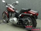 Thumbnail Photo 1 for 2001 Harley-Davidson Softail