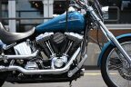 Thumbnail Photo 4 for 2001 Harley-Davidson Softail