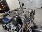 Thumbnail Photo 2 for 2001 Harley-Davidson Softail