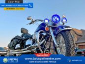 2001 Harley-Davidson Softail