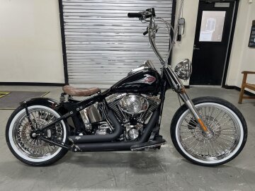 2001 Harley-Davidson Softail
