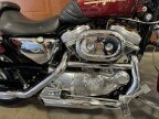 Thumbnail Photo 1 for 2001 Harley-Davidson Sportster 883