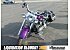 2002 Harley-Davidson Softail