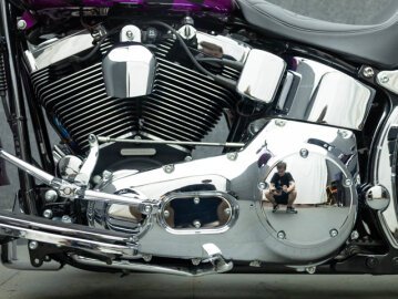2002 Harley-Davidson Softail
