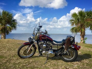 2002 Harley-Davidson Sportster 1200 Custom