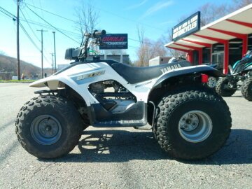 2002 Yamaha Breeze